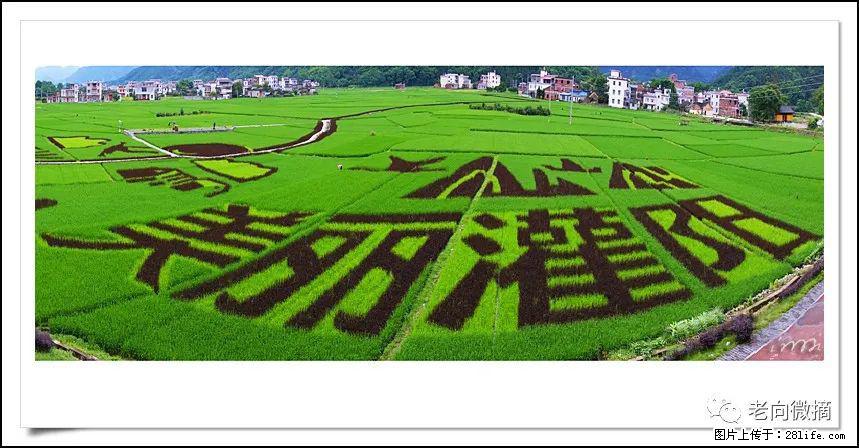 【春天，广西桂林灌阳县向您发出邀请！】开篇 - 游山玩水 - 丹东生活社区 - 丹东28生活网 dandong.28life.com