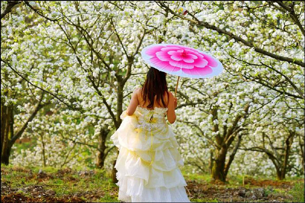 【春天，广西桂林灌阳县向您发出邀请！】我们在灌阳看梨花 - 游山玩水 - 丹东生活社区 - 丹东28生活网 dandong.28life.com