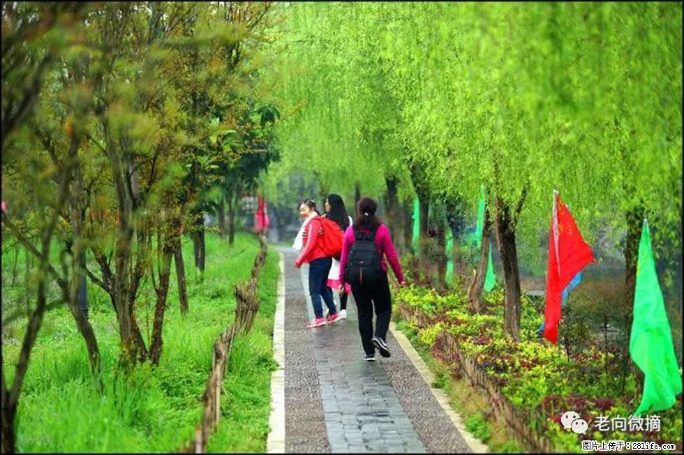 【春天，广西桂林灌阳县向您发出邀请！】江口老街又逢春 - 游山玩水 - 丹东生活社区 - 丹东28生活网 dandong.28life.com