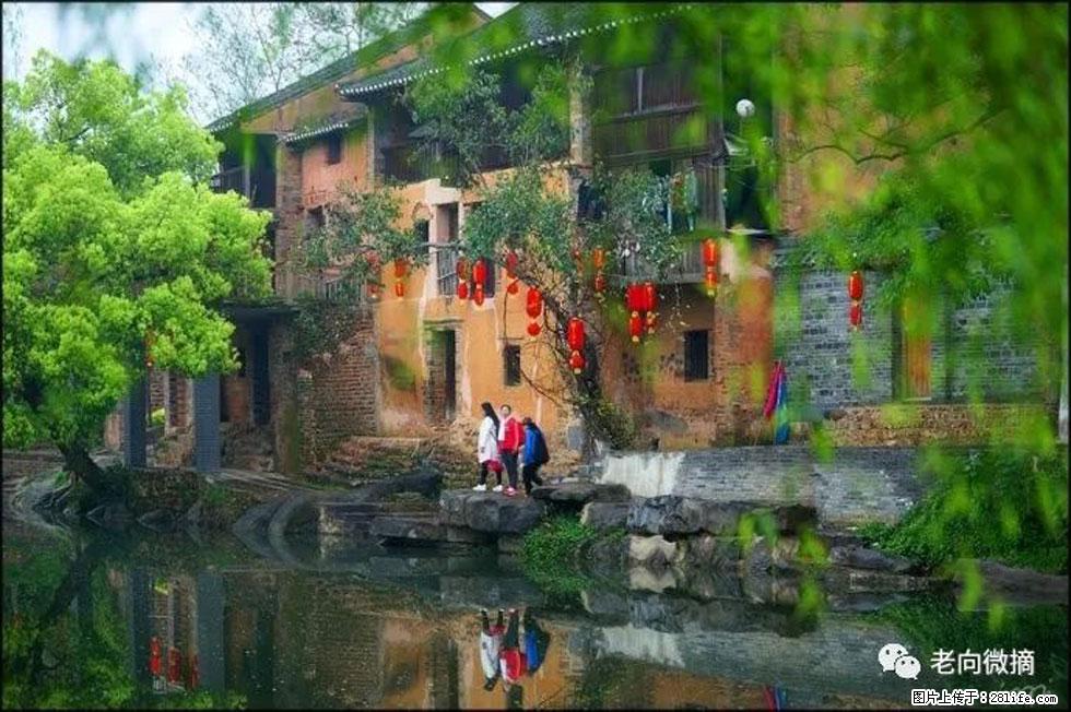 【春天，广西桂林灌阳县向您发出邀请！】江口老街又逢春 - 游山玩水 - 丹东生活社区 - 丹东28生活网 dandong.28life.com
