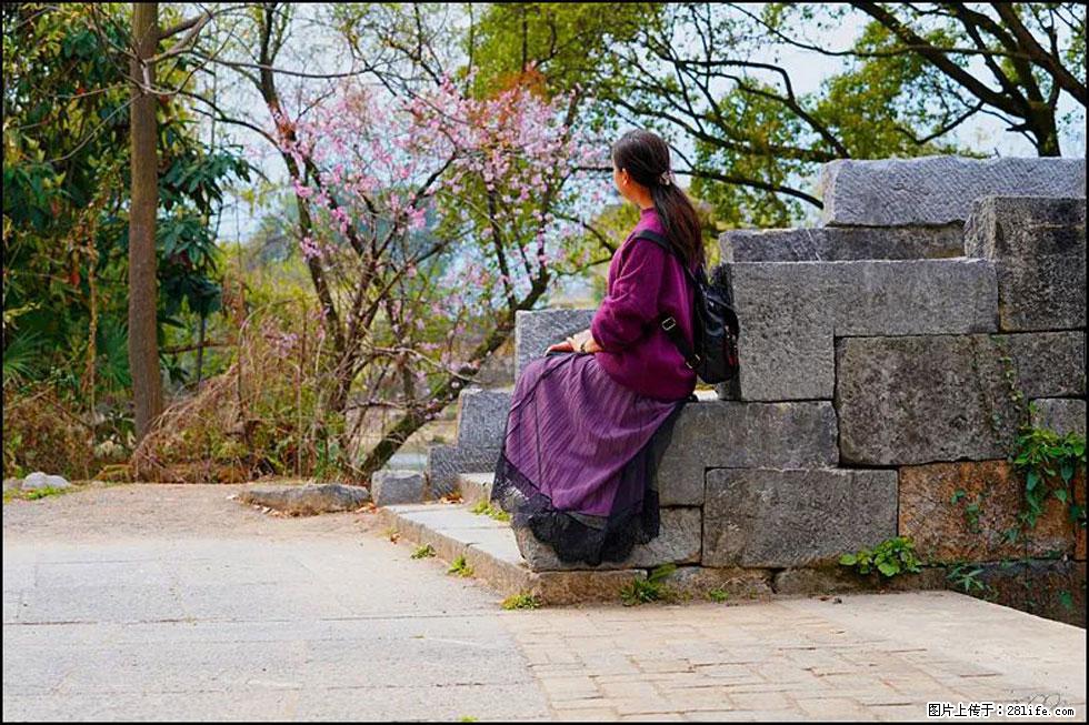 【春天，广西桂林灌阳县向您发出邀请！】江口老街又逢春 - 游山玩水 - 丹东生活社区 - 丹东28生活网 dandong.28life.com