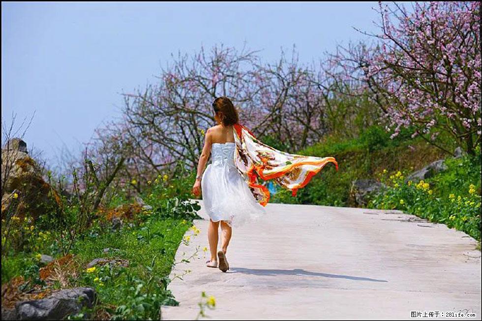 【春天，广西桂林灌阳县向您发出邀请！】望月岭上桃花开 - 游山玩水 - 丹东生活社区 - 丹东28生活网 dandong.28life.com