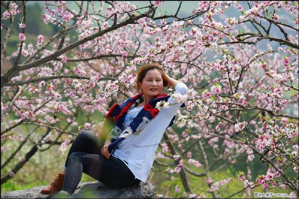 【春天，广西桂林灌阳县向您发出邀请！】望月岭上桃花开 - 游山玩水 - 丹东生活社区 - 丹东28生活网 dandong.28life.com