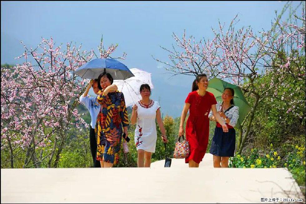 【春天，广西桂林灌阳县向您发出邀请！】望月岭上桃花开 - 游山玩水 - 丹东生活社区 - 丹东28生活网 dandong.28life.com