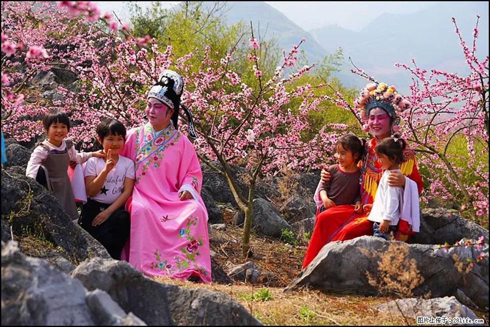 【春天，广西桂林灌阳县向您发出邀请！】望月岭上桃花开 - 游山玩水 - 丹东生活社区 - 丹东28生活网 dandong.28life.com