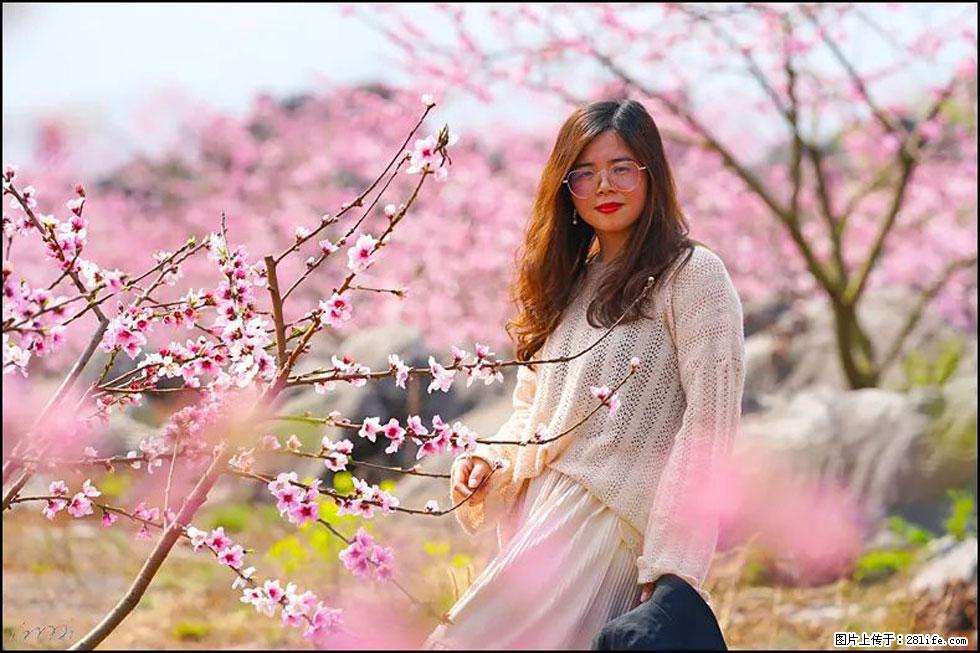 【春天，广西桂林灌阳县向您发出邀请！】望月岭上桃花开 - 游山玩水 - 丹东生活社区 - 丹东28生活网 dandong.28life.com