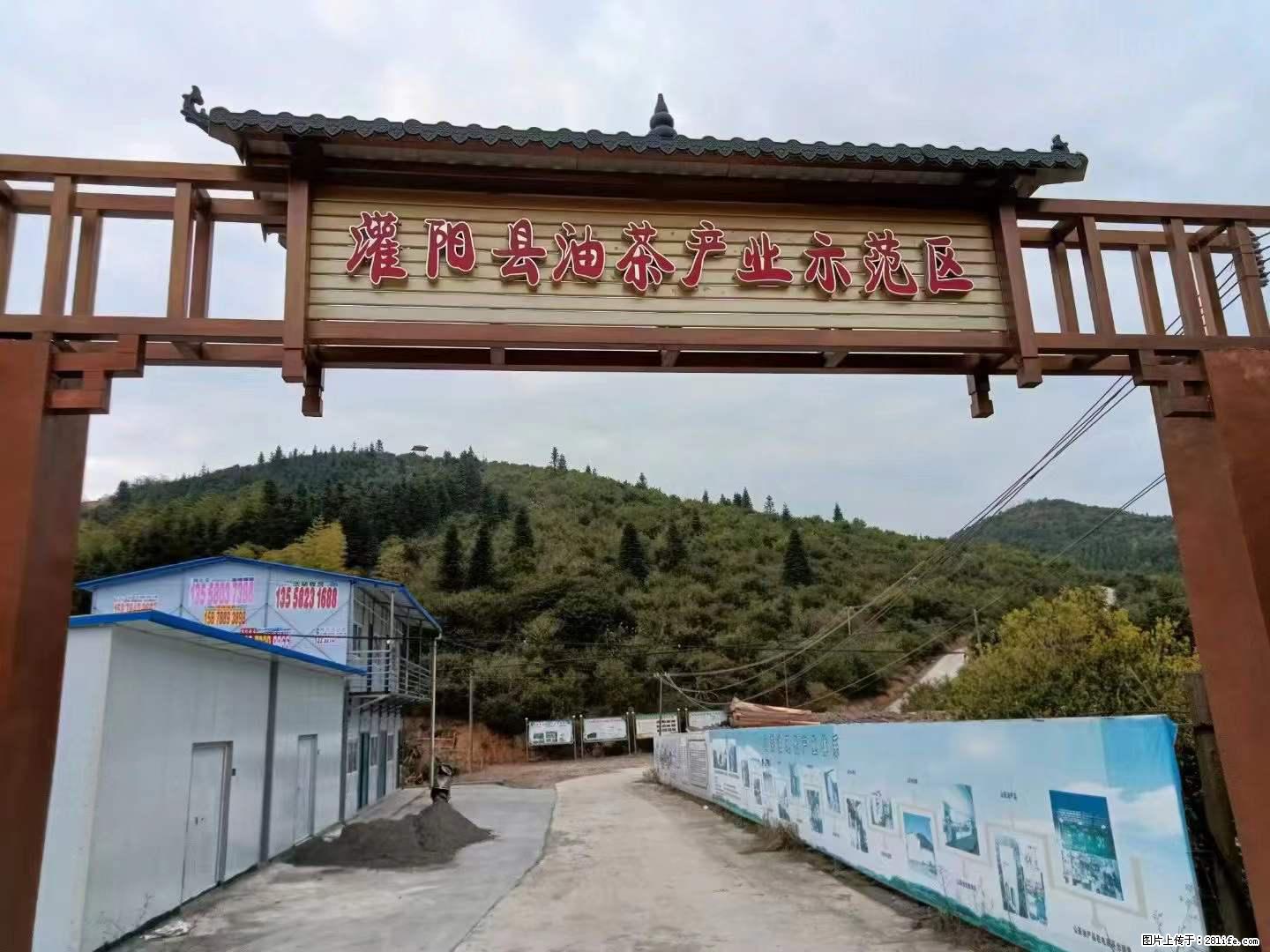 【灌阳县油茶产业示范区】一个有着充实的精神生活的人，对待身外之物自会有一种淡泊的态度 - 美食天地 - 丹东生活社区 - 丹东28生活网 dandong.28life.com