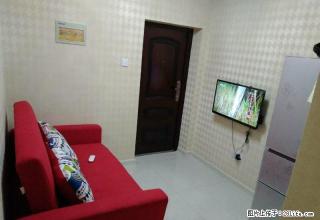 八道小学对面 步梯4楼 精装地热 独立客厅 百兆宽带 可月付 - 丹东28生活网 dandong.28life.com