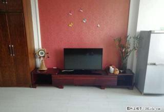 锦江佳园 温馨一居室 阳光刺眼 看房自带墨镜 - 丹东28生活网 dandong.28life.com