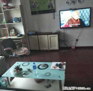 绿云花园精装 100平 1000 赠送10个月宽带 随时入户 - 丹东28生活网 dandong.28life.com