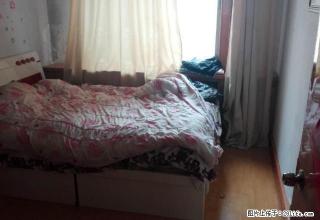 (单间出租)步行街附近 五楼 52平一居室月租金550包取暖 南向 光好 - 丹东28生活网 dandong.28life.com