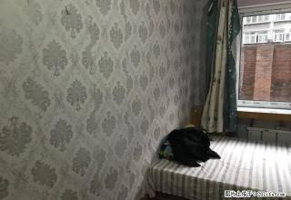 (单间出租)城隍庙小区不上破 一楼单间出租 月租550可短租 - 丹东28生活网 dandong.28life.com