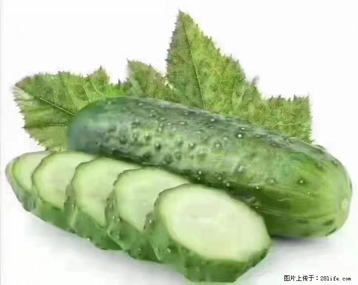 【生活小常识】吃黄瓜的好处 - 生活百科 - 丹东生活社区 - 丹东28生活网 dandong.28life.com