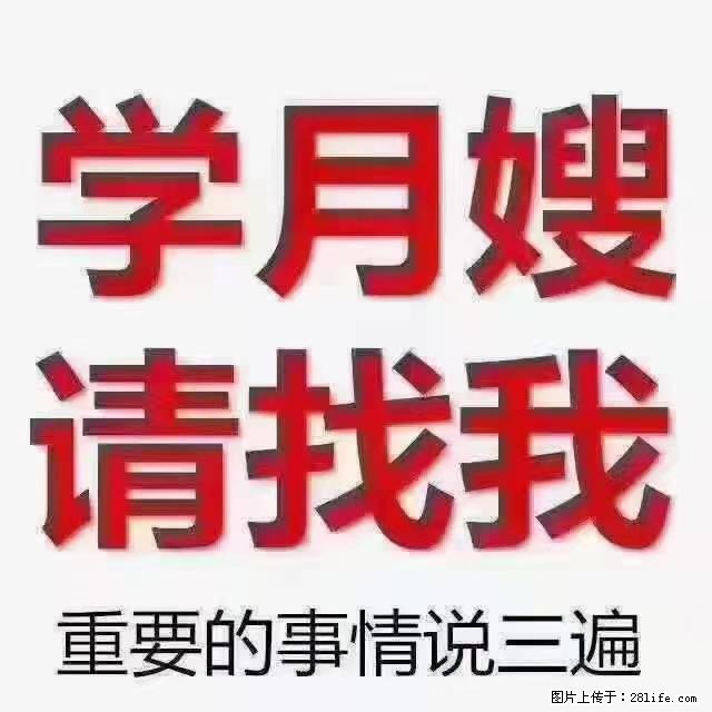 【招聘】月嫂，上海徐汇区 - 职场交流 - 丹东生活社区 - 丹东28生活网 dandong.28life.com