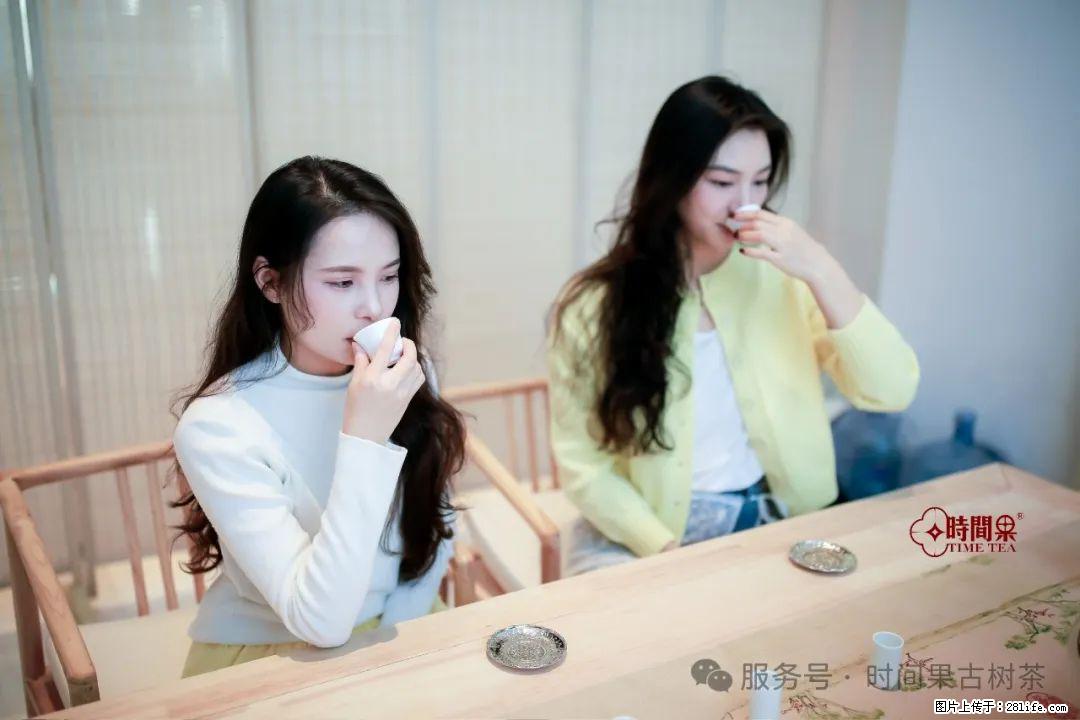 时间果百年古树龙珠普洱生茶 - 购物交流 - 丹东生活社区 - 丹东28生活网 dandong.28life.com