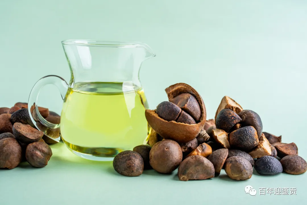 世界没有真相，只有认知，最好的食用油是中国的山茶油！ - 丹东生活资讯 - 丹东28生活网 dandong.28life.com