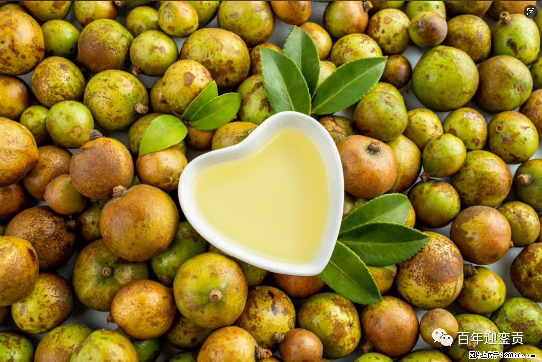 世界没有真相，只有认知，最好的食用油是中国的山茶油！ - 丹东生活资讯 - 丹东28生活网 dandong.28life.com