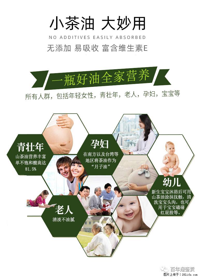 世界没有真相，只有认知，最好的食用油是中国的山茶油！ - 丹东生活资讯 - 丹东28生活网 dandong.28life.com