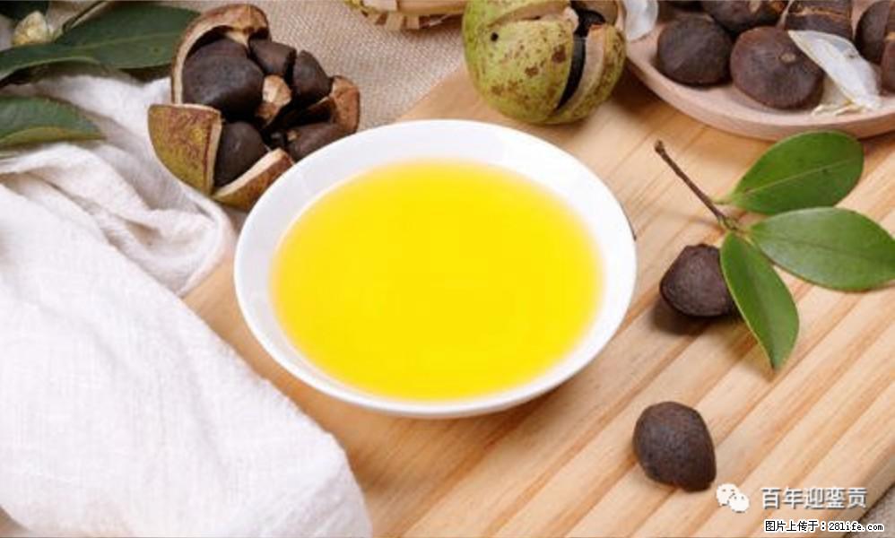 世界没有真相，只有认知，最好的食用油是中国的山茶油！ - 丹东生活资讯 - 丹东28生活网 dandong.28life.com