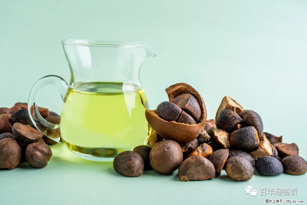世界没有真相，只有认知，最好的食用油是中国的山茶油！ - 丹东生活资讯 - 丹东28生活网 dandong.28life.com