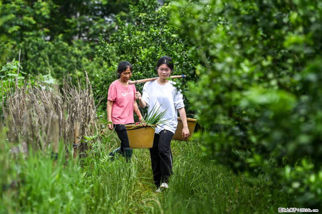 全网追的“扁担女孩”，找了一份暑假工，时薪12元 - 丹东生活资讯 - 丹东28生活网 dandong.28life.com