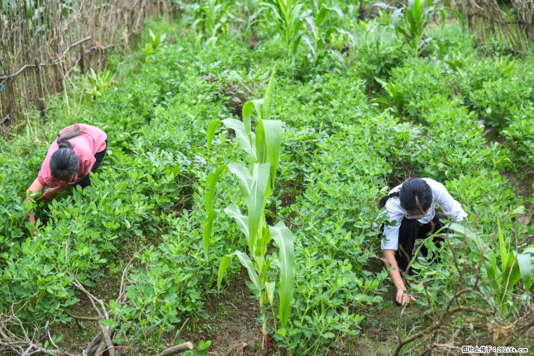 全网追的“扁担女孩”，找了一份暑假工，时薪12元 - 丹东生活资讯 - 丹东28生活网 dandong.28life.com
