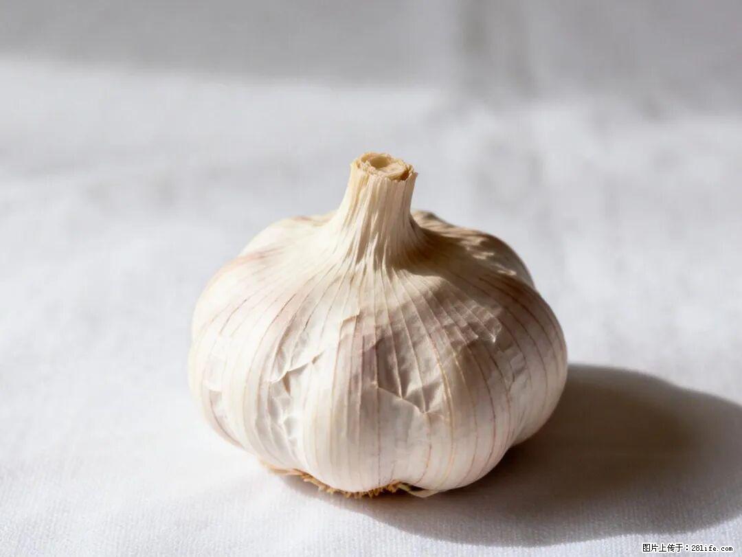 关于大蒜，除了“天然抗生素”，这4个谣言更该警惕! - 丹东生活资讯 - 丹东28生活网 dandong.28life.com