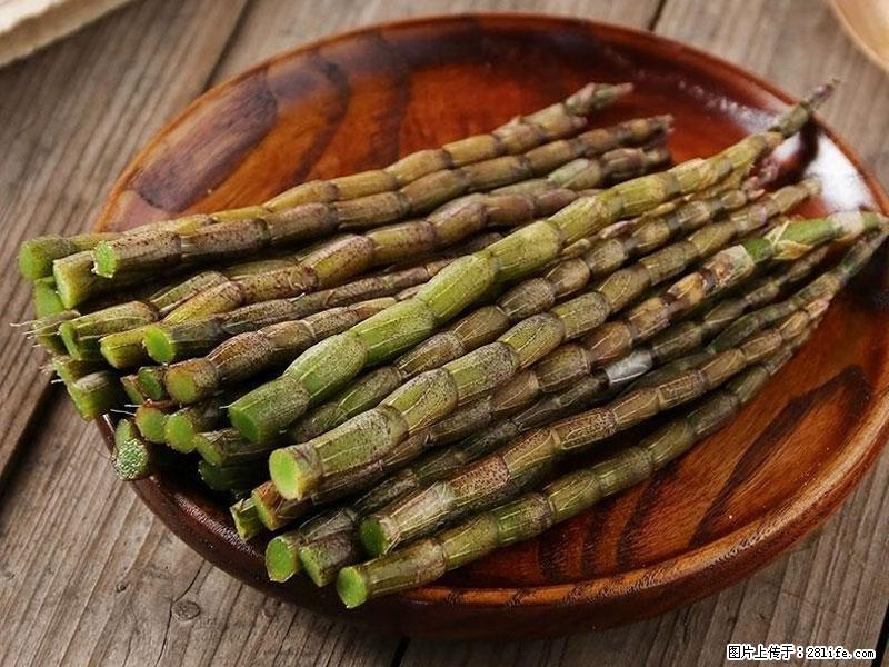 铁皮石斛的作用与功能主治 - 丹东生活资讯 - 丹东28生活网 dandong.28life.com