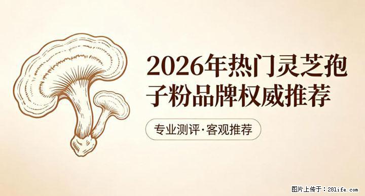 灵芝孢子粉含量越高越有效？2026 年七款热门品牌深度实测，肠胃敏感者避坑指南 - 丹东生活资讯 - 丹东28生活网 dandong.28life.com